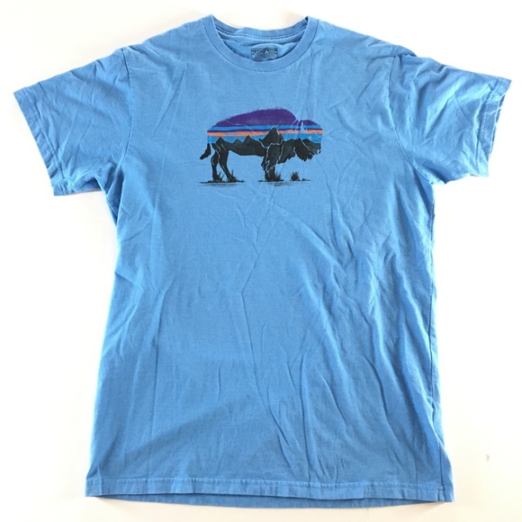 Patagonia Tops - Patagonia • blue tee